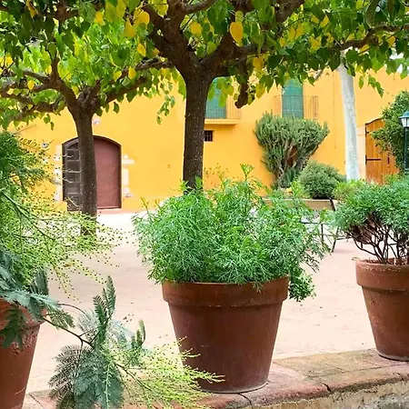 Mansion In With Terrace * Riudoms
