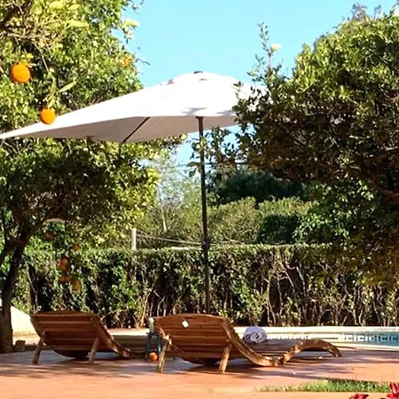 Holiday home Mansion In With Terrace *